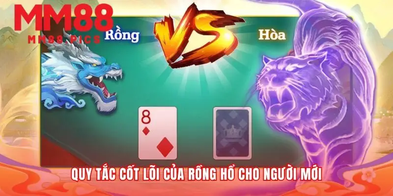 Nền tảng vững chắc cho mọi ván Rồng Hổ