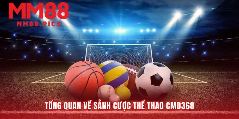 Nền tảng vận hành ẩn sau các nhà cái lớn