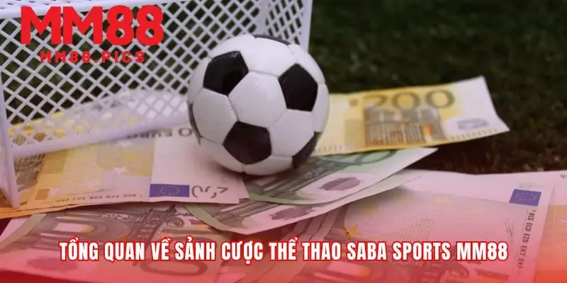 Bên trong bộ máy vận hành sảnh cược thể thao